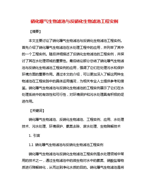硝化曝气生物滤池与反硝化生物滤池工程实例