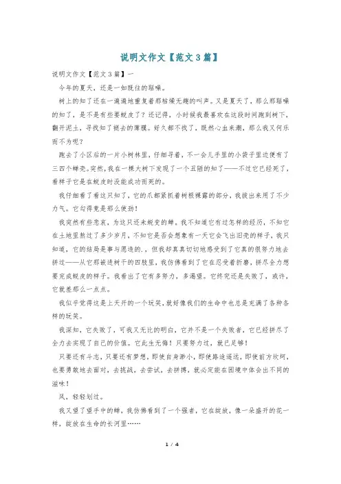 说明文作文【范文3篇】