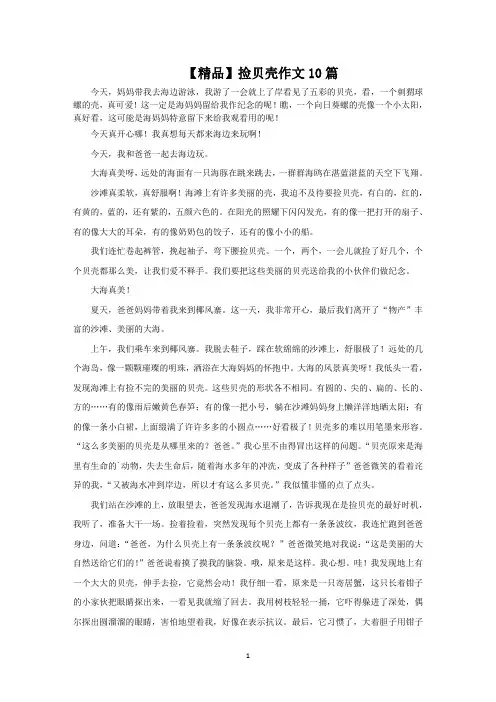 捡贝壳作文10篇范文精选