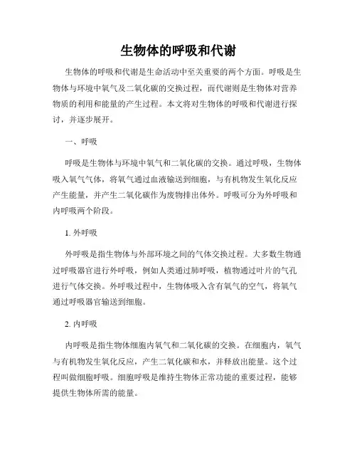 生物体的呼吸和代谢