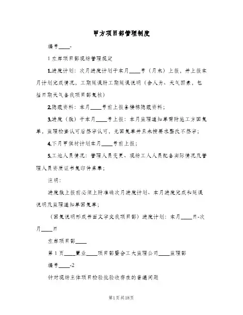 甲方项目部管理制度(五篇)
