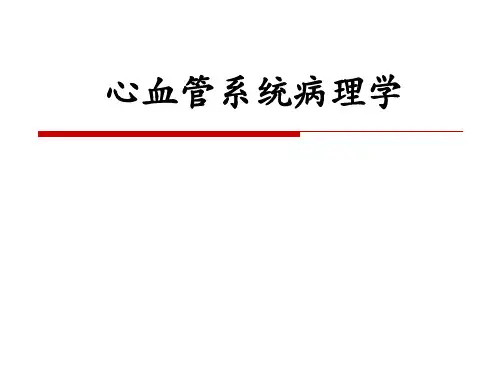 心血管系统病理学