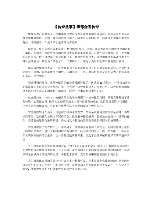 【传奇故事】黑郁金香传奇