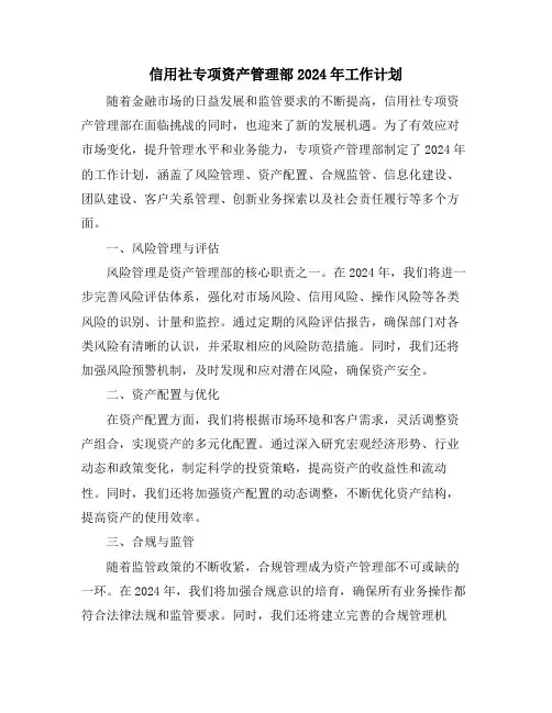 信用社专项资产管理部2024年工作计划