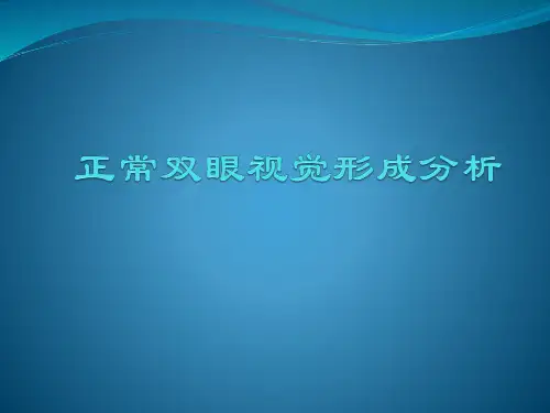 4.1正常双眼视觉形成分析