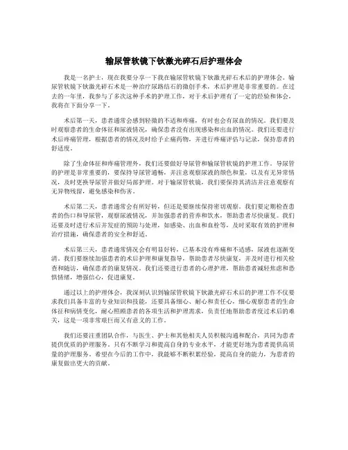 输尿管软镜下钬激光碎石后护理体会