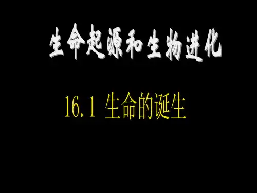 16.1生命的诞生(江)(共23张PPT)