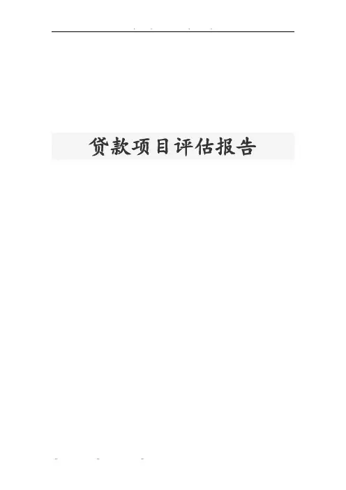 贷款项目评估方案报告