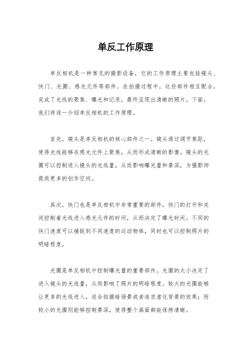 单反工作原理