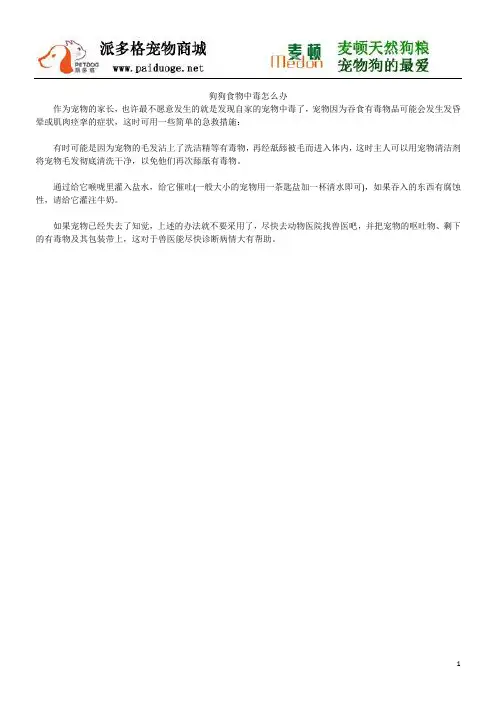 狗狗食物中毒怎么办