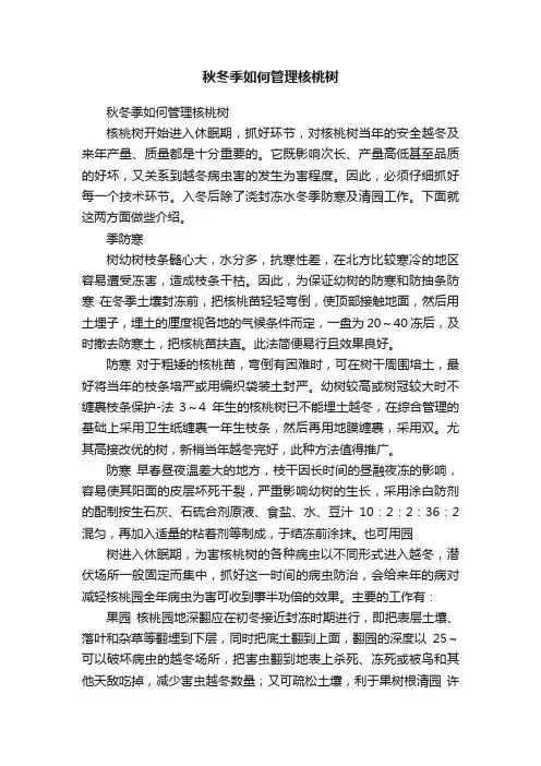 秋冬季如何管理核桃树