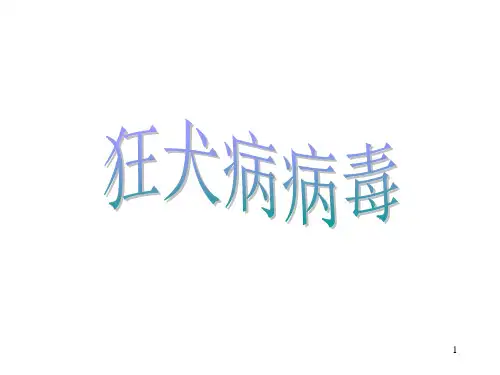 《病原微生物学》课件 狂犬病病毒 ppt