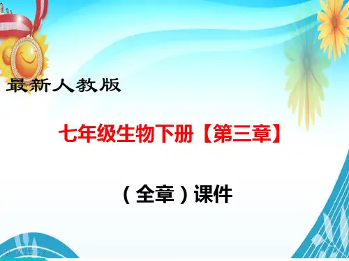 最新人教版七年级生物下册【第三章(全章)    人体的呼吸】部编版PPT教学课件