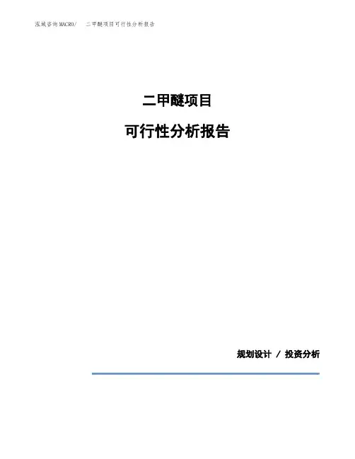 二甲醚项目可行性分析报告(模板参考范文)