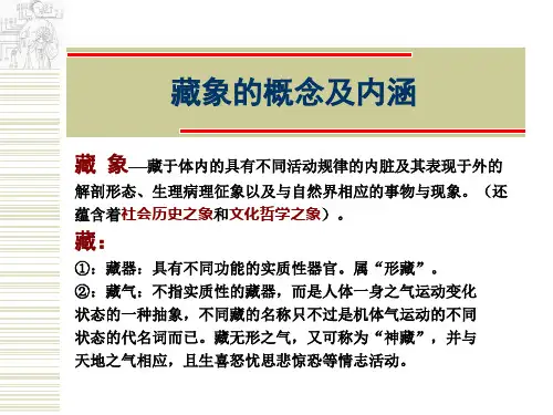 藏象的概念及内涵