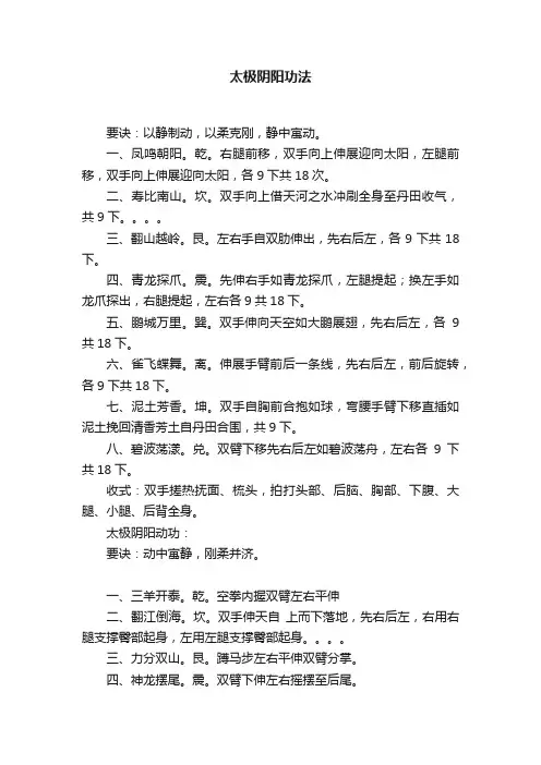 太极阴阳功法