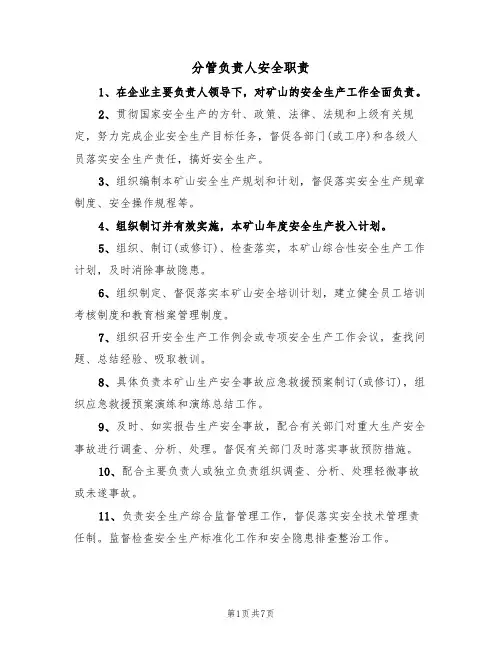 分管负责人安全职责（5篇）