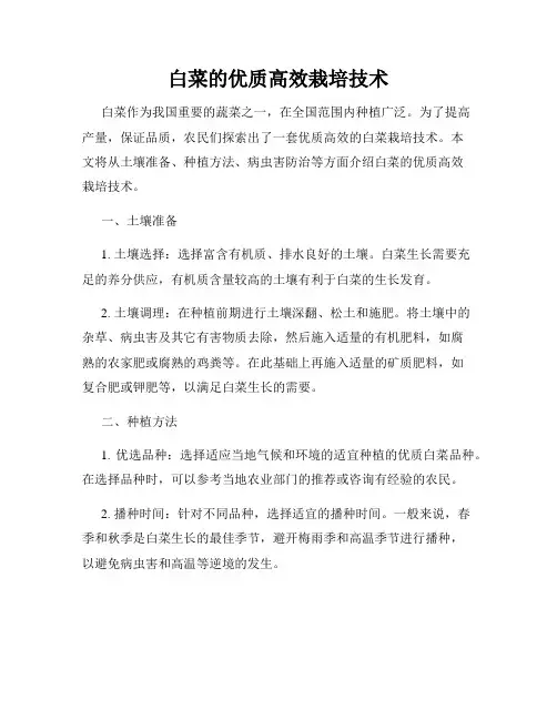 白菜的优质高效栽培技术