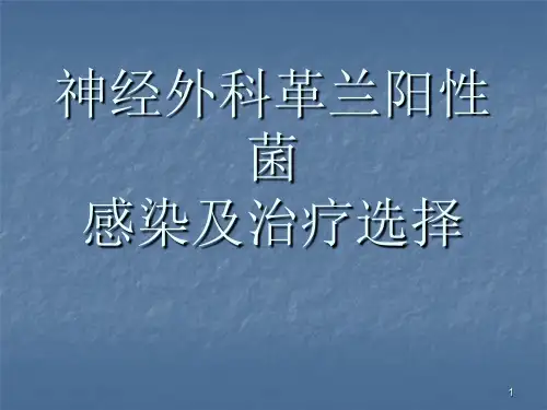 神经外科的感染及其治疗选择ppt课件