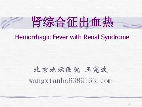 肾综合征出血热