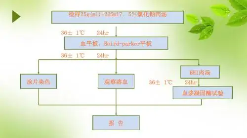 项目四 金黄色葡萄球菌检测-革兰氏染色ppt课件