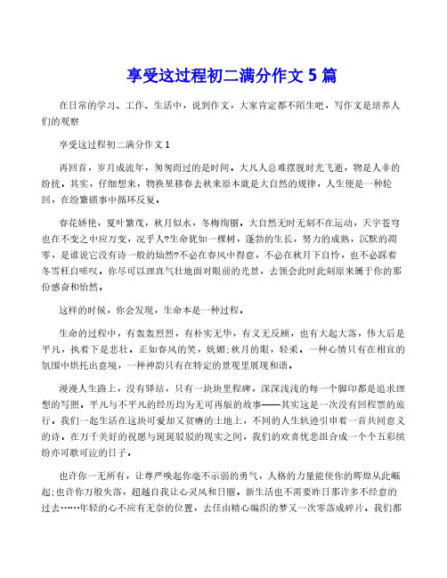 享受这过程初二满分作文5篇