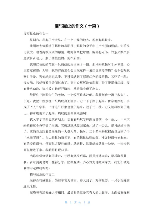 描写昆虫的作文（十篇）