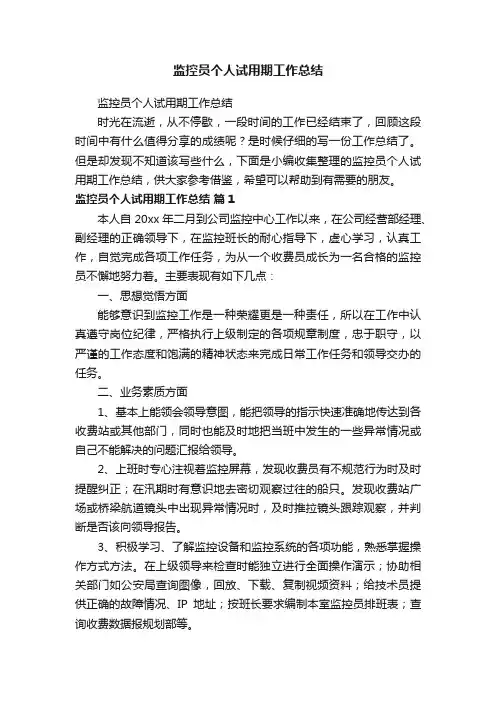 监控员个人试用期工作总结