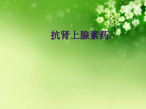 抗肾上腺素药.优秀课件