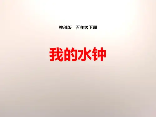 教科版五年级科学下册 (我的水钟)时间的测量教学课件
