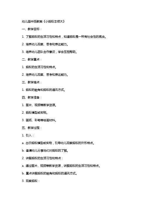 幼儿园中班教案《小蚂蚁本领大》