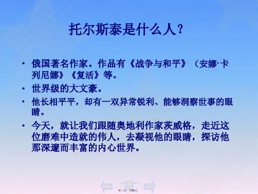 列夫托尔斯泰精品教学课件69页超一流精品