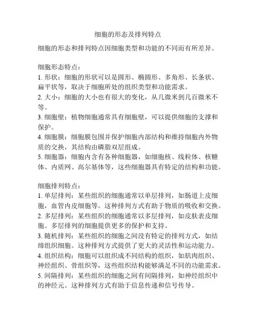 细胞的形态及排列特点