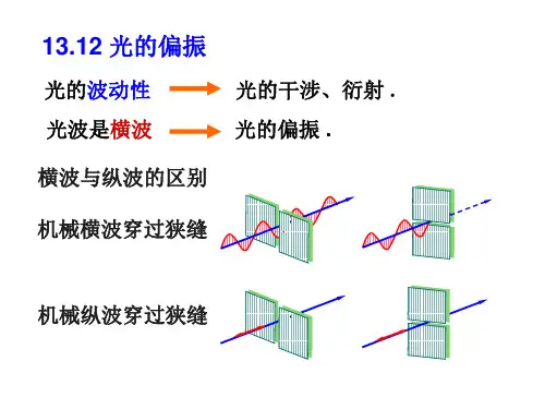 《大学物理》光的偏振