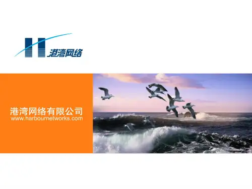 IT新员工培训PPT资料62页