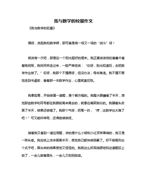 我与数学的较量作文