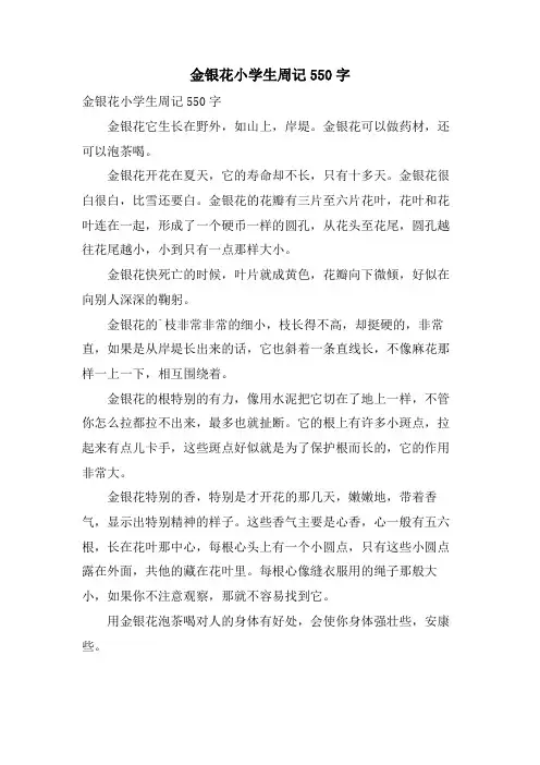 金银花小学生周记550字
