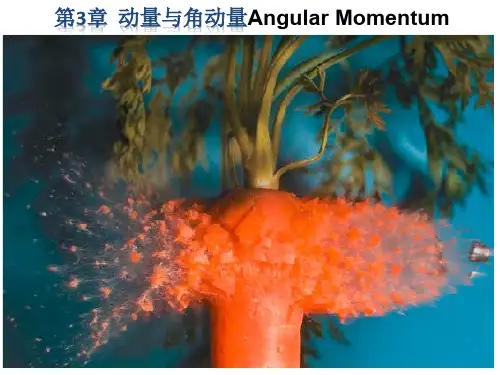 大学物理 动量与角动量-1