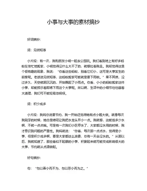 小事与大事的素材摘抄