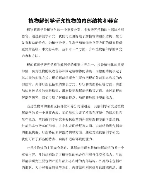 植物解剖学研究植物的内部结构和器官