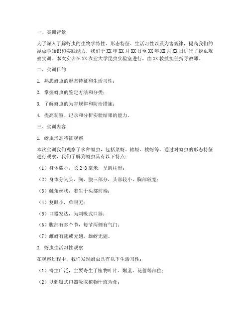 观察蚜虫实训总结报告单