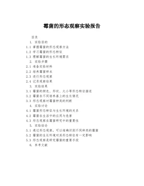霉菌的形态观察实验报告