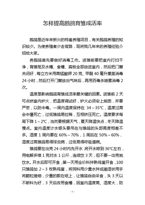 怎样提高鹧鸪育雏成活率