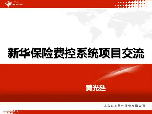 财务共享服务-项目案例(新华保险)