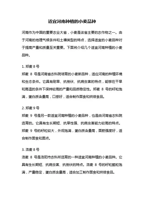 适宜河南种植的小麦品种