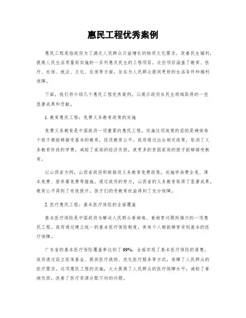 惠民工程优秀案例