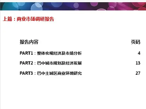 巴中商业市场详细调查报告