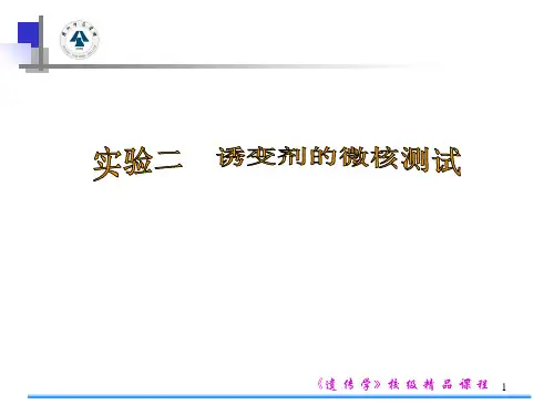 2实验二 诱变剂的微核测试PPT课件
