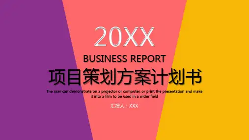 多彩项目策划方案计划书PPT模板