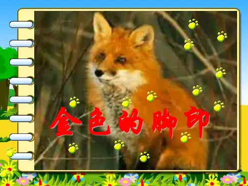 六年级第24课金色的脚印优秀课件共享PPT4 公开课一等奖课件PPT